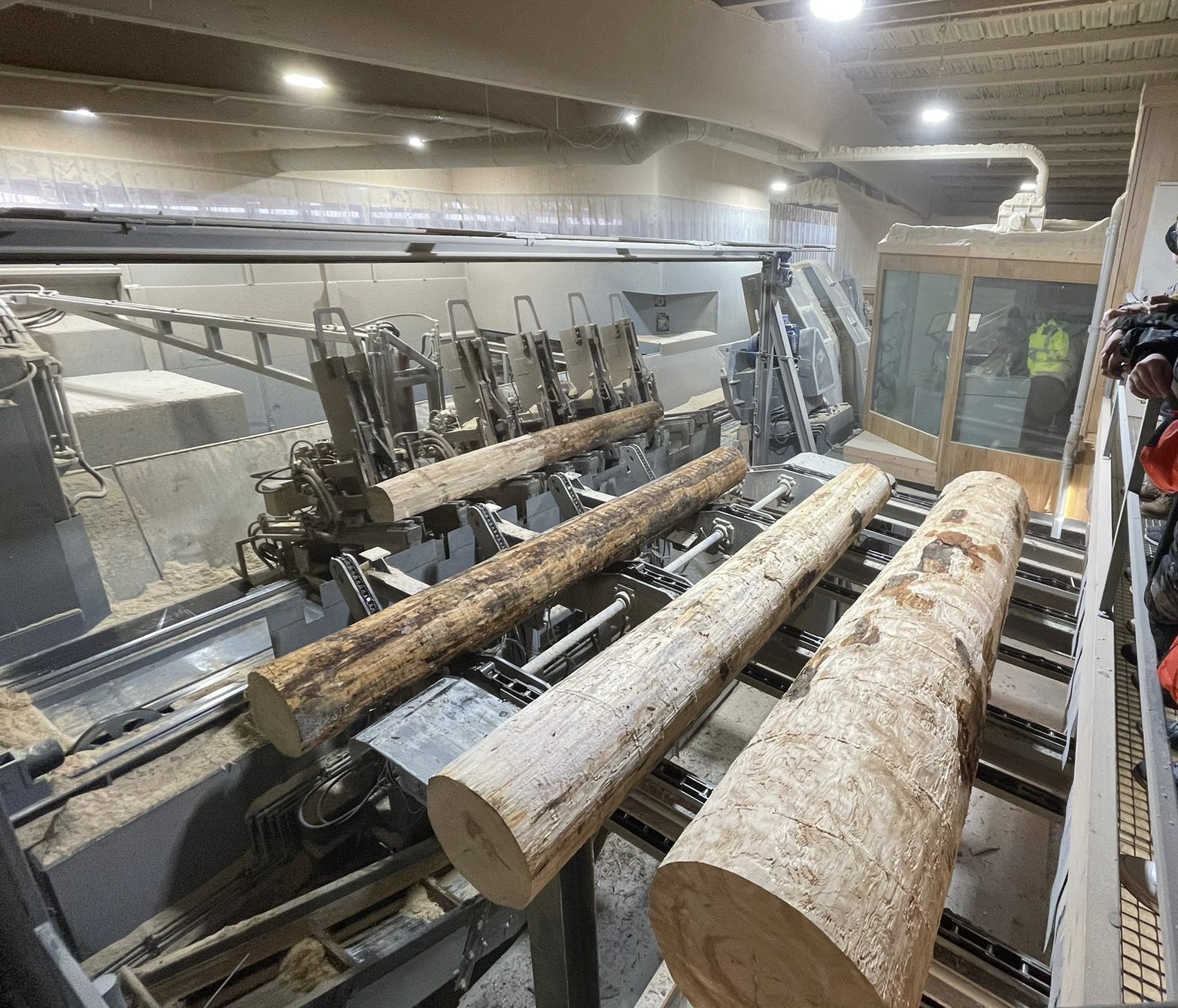 Besuch im Sägewerk - Peter Hille Schule